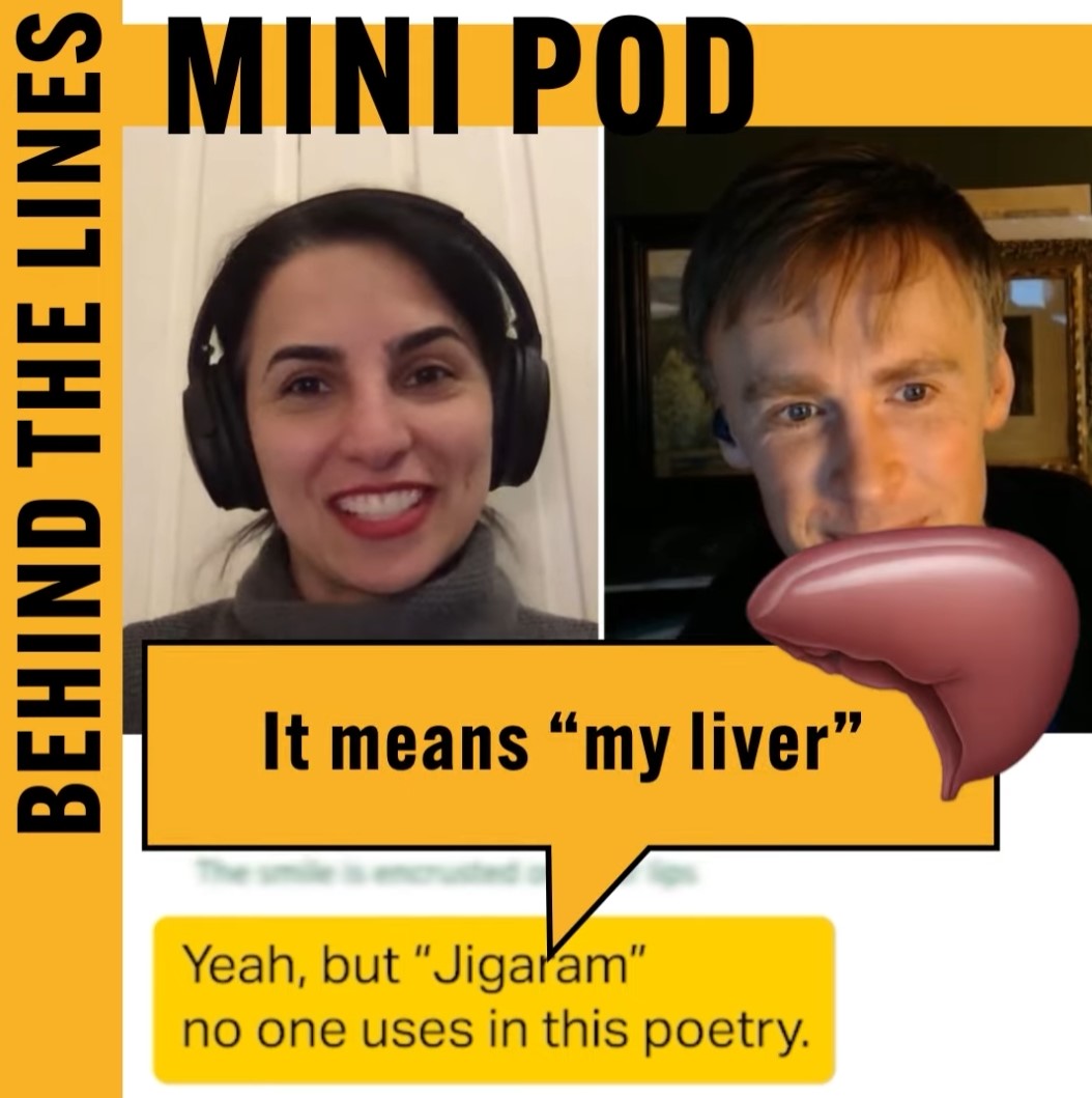 Behind the lines mini pod